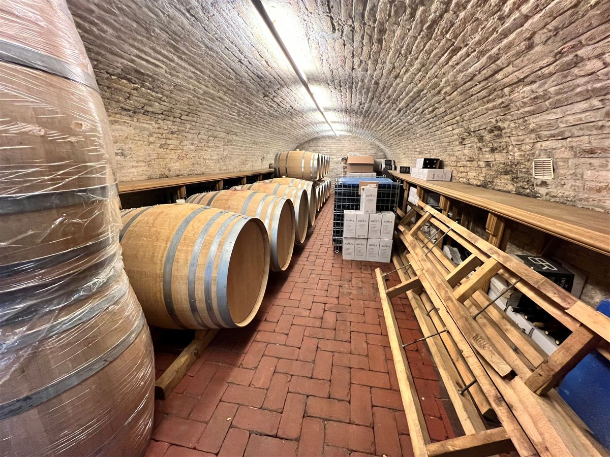 Oak barrels in the Brzica cellar