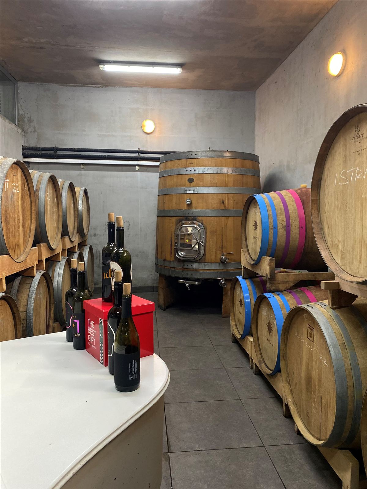 Oak barrels in the Trapan cellar
