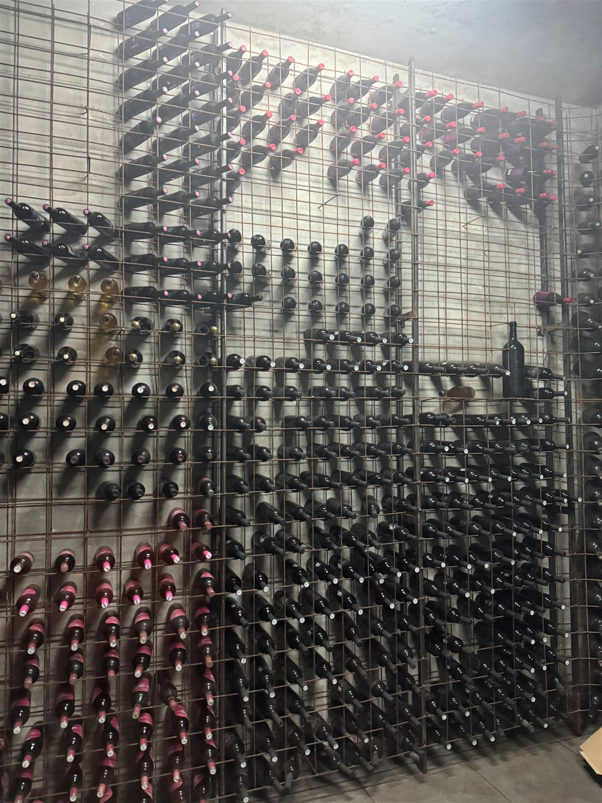 The Trapan wine library